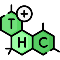 Kannabiksen siemenet THC vähintään 21%