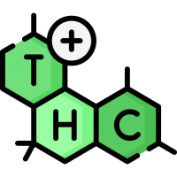 Korkean THC-Pitoisuuden Kannabislajikkeet